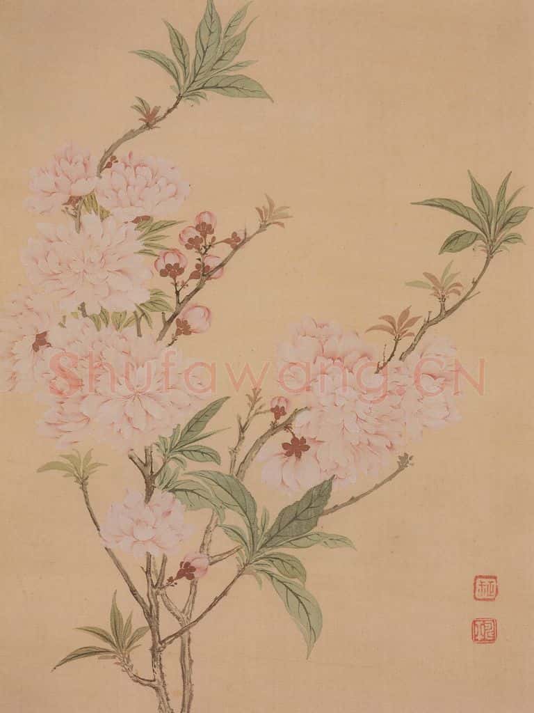 清 恽寿平《花卉册》书画作品