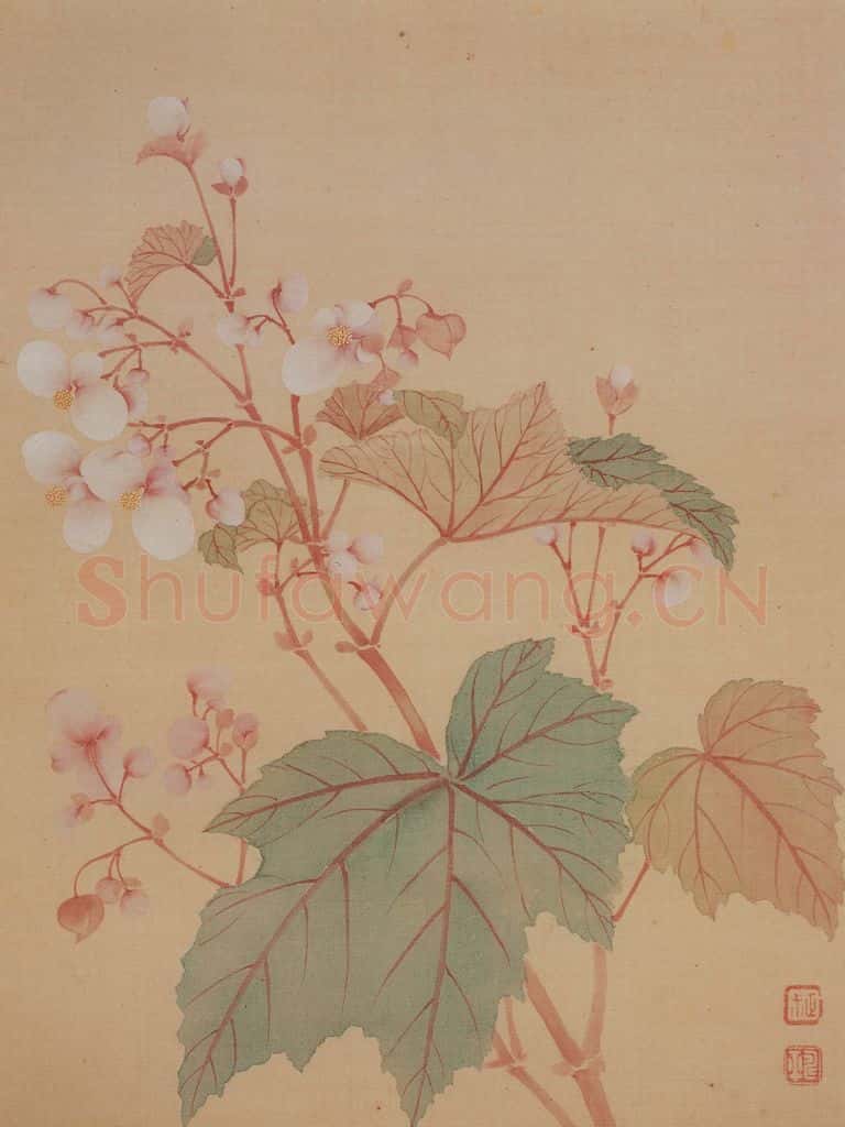 清 恽寿平《花卉册》书画作品