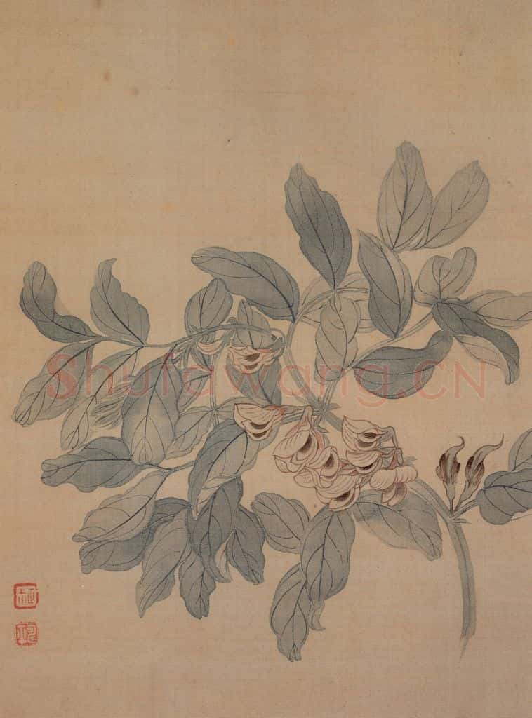 清 恽寿平《花卉册》书画作品