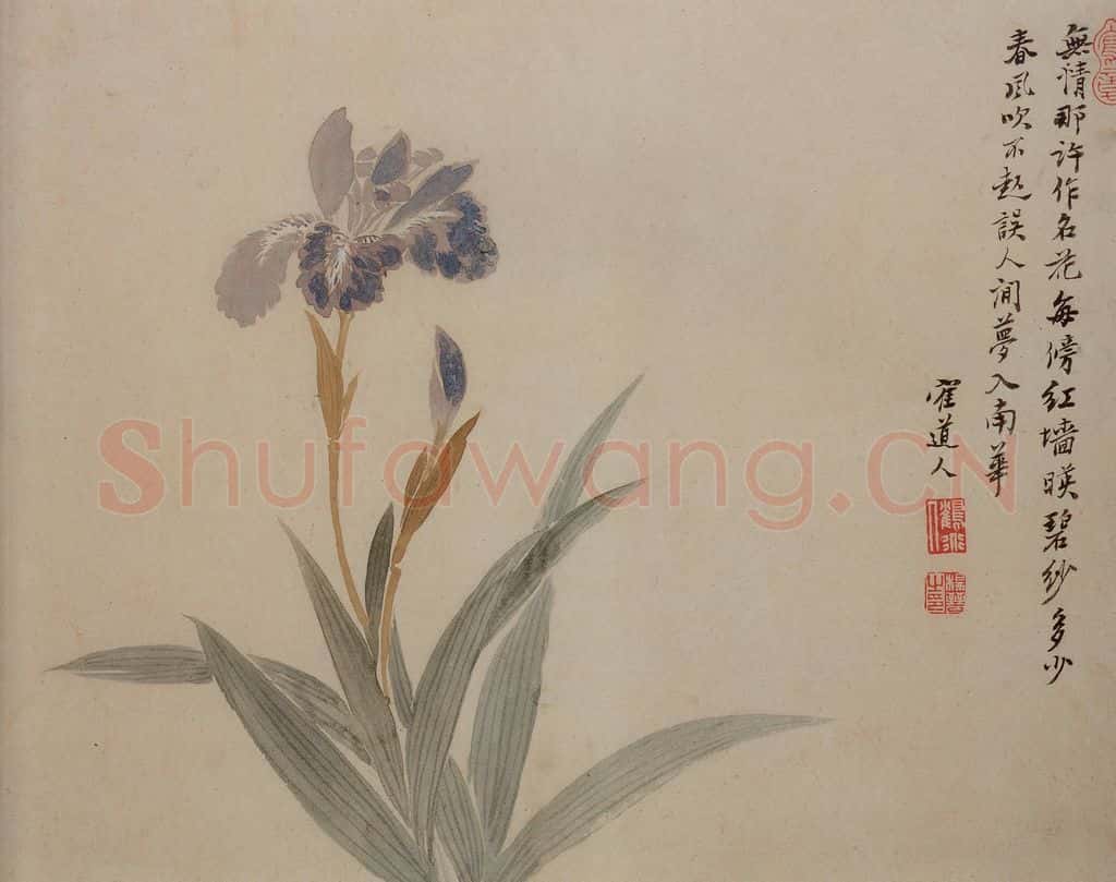 清 杨晋《花卉》书画作品
