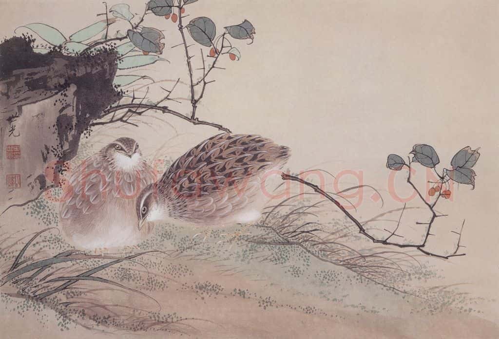  田世光《鹌鹑》书画作品