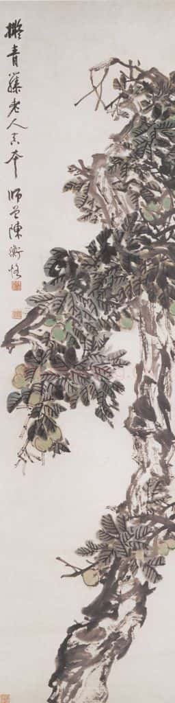 不详 陈师曾 枇杷 书画作品