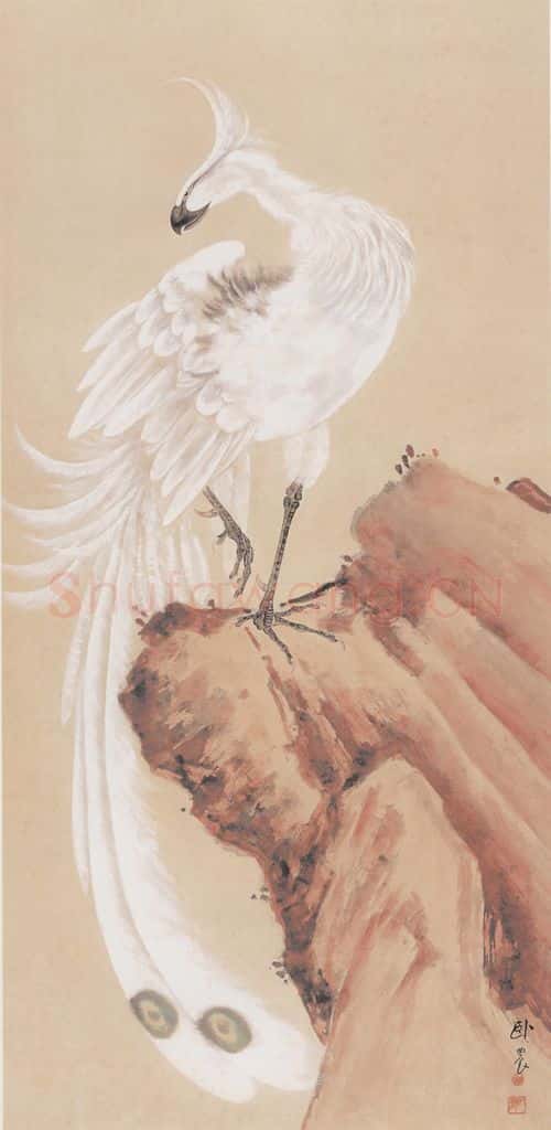 苏卧农《白孔雀图》书画作品