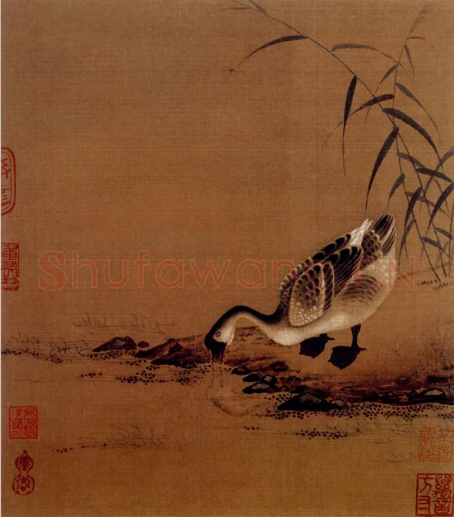 宋 伕名 芦塘鹅饮图 书画作品