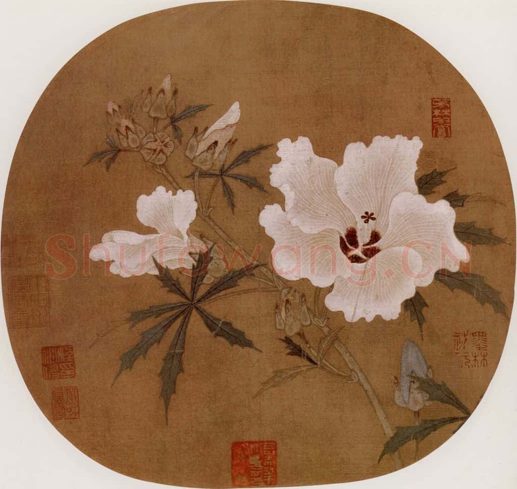 宋 伕名 秋葵图 书画作品
