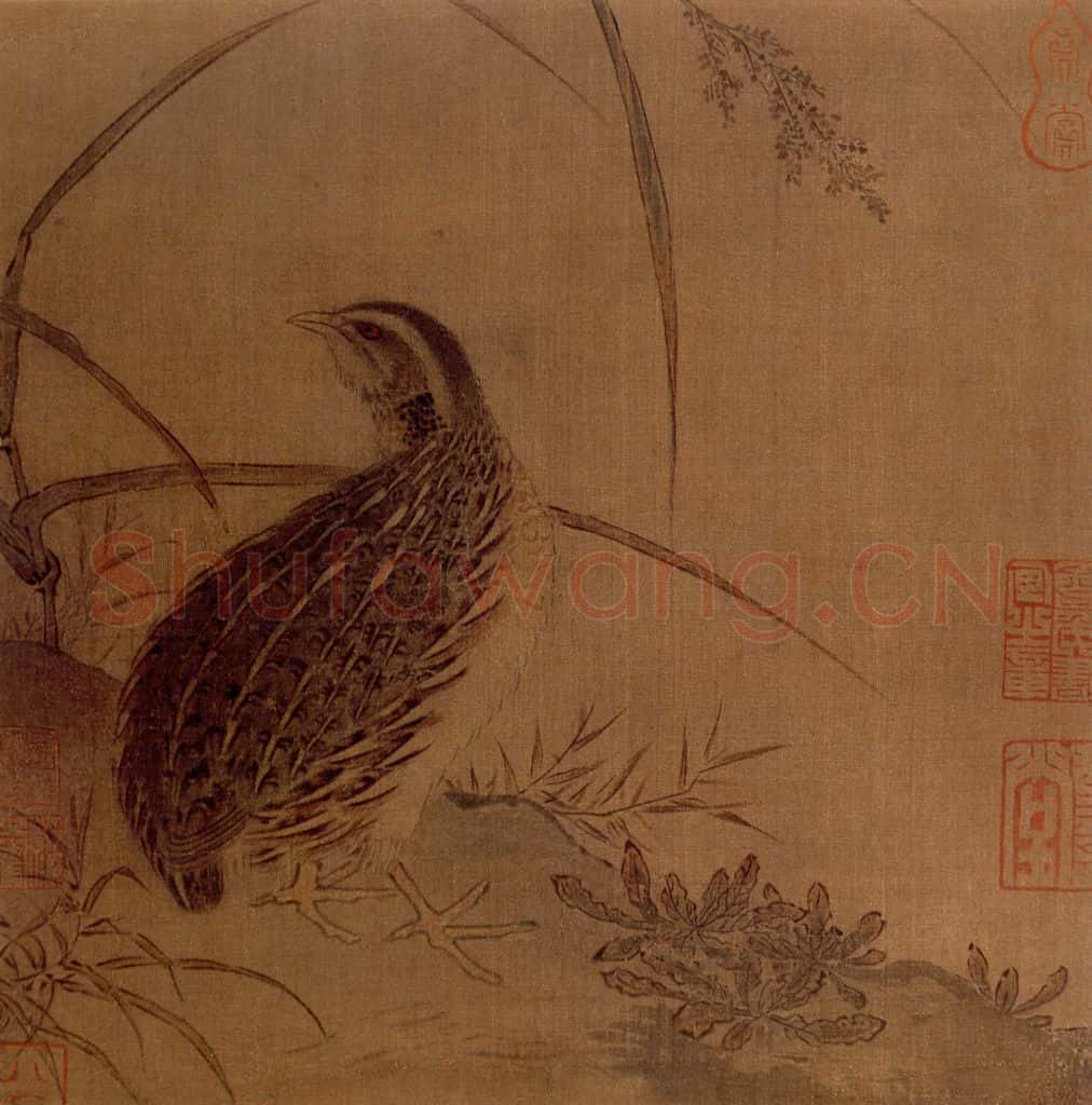 宋 伕名 鹌鹁图 书画作品