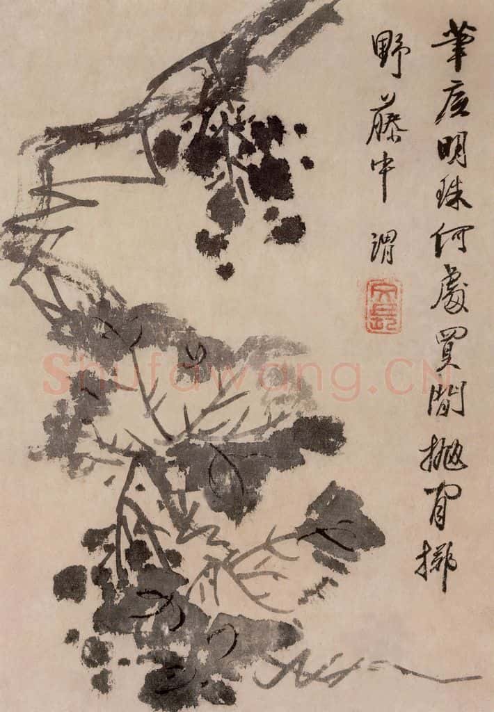 徐渭《花卉人物图册》书画作品