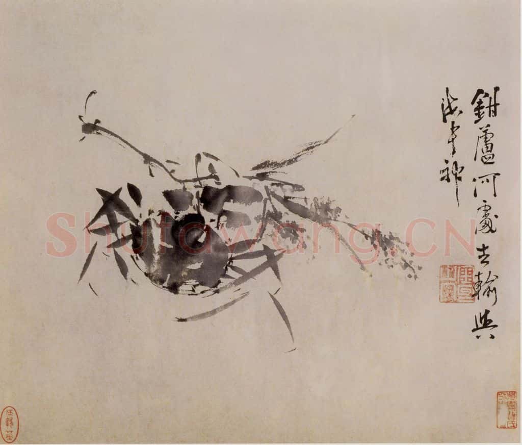徐渭《墨花图册》书画作品