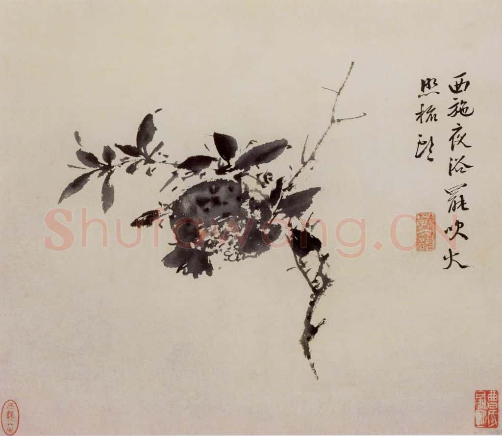 徐渭《墨花图册》书画作品