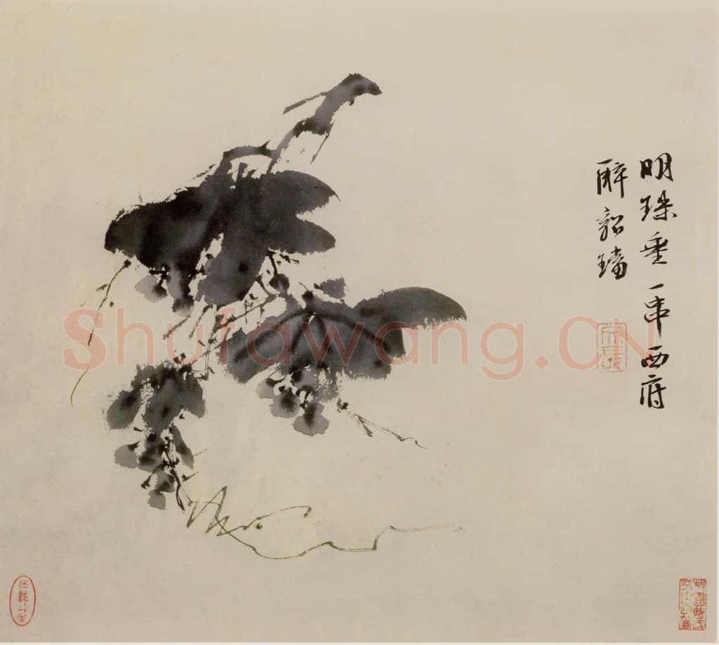  徐渭《墨花图册》书画作品