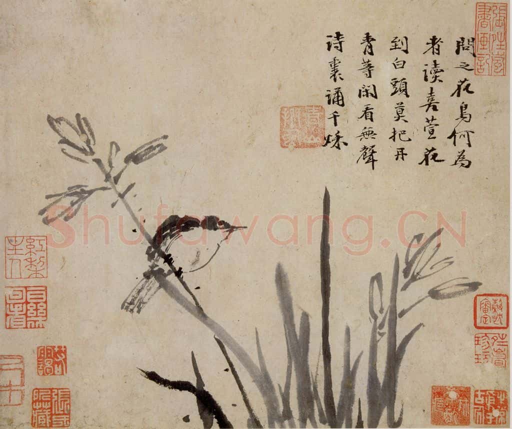  徐渭《花卉人物卷》书画作品