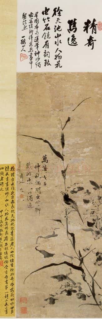 徐渭《花鸟图》书画作品
