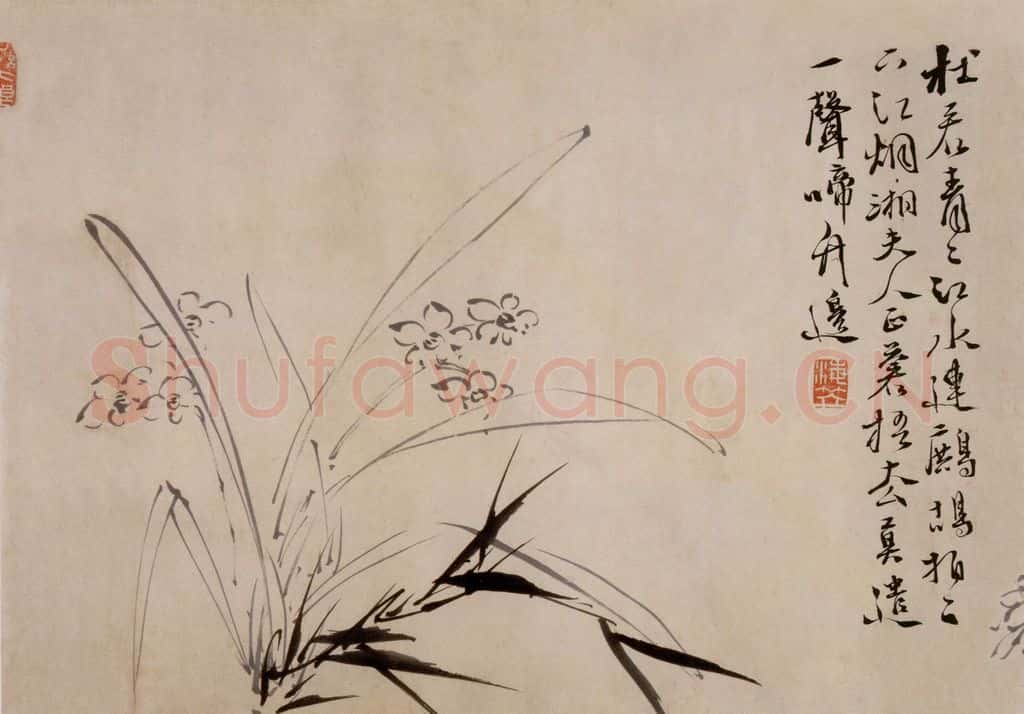 徐渭《杂花卷》书画作品