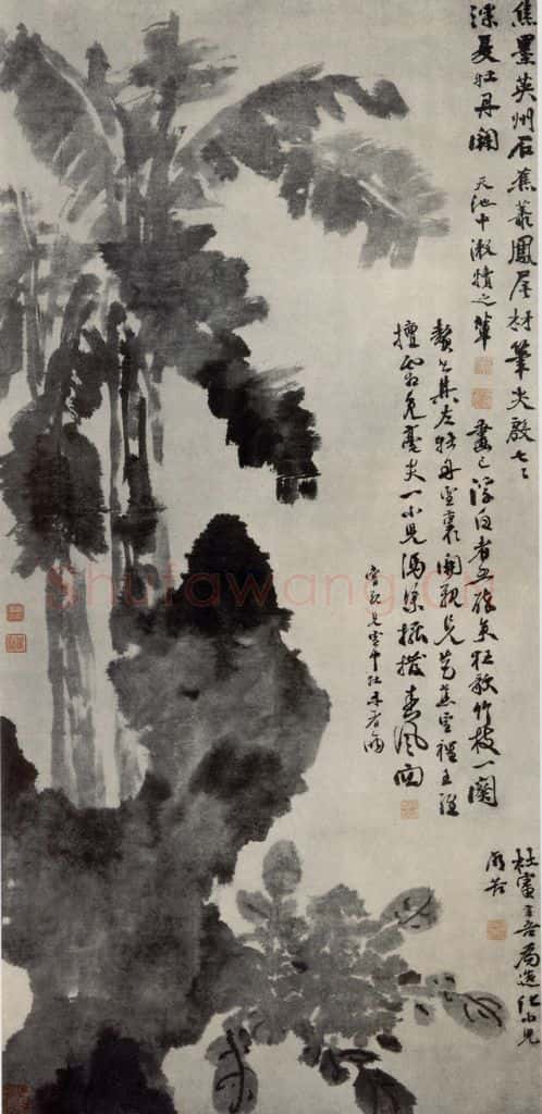 徐渭《牡丹蕉石图》书画作品