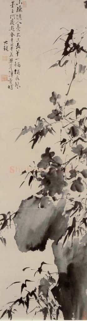 徐渭《蕉石图》书画作品