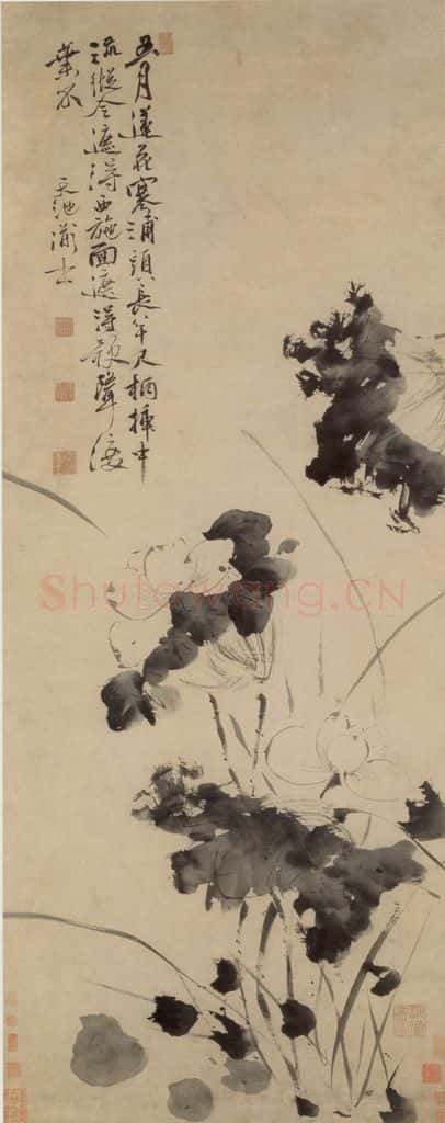  徐渭《五月莲花图》书画作品