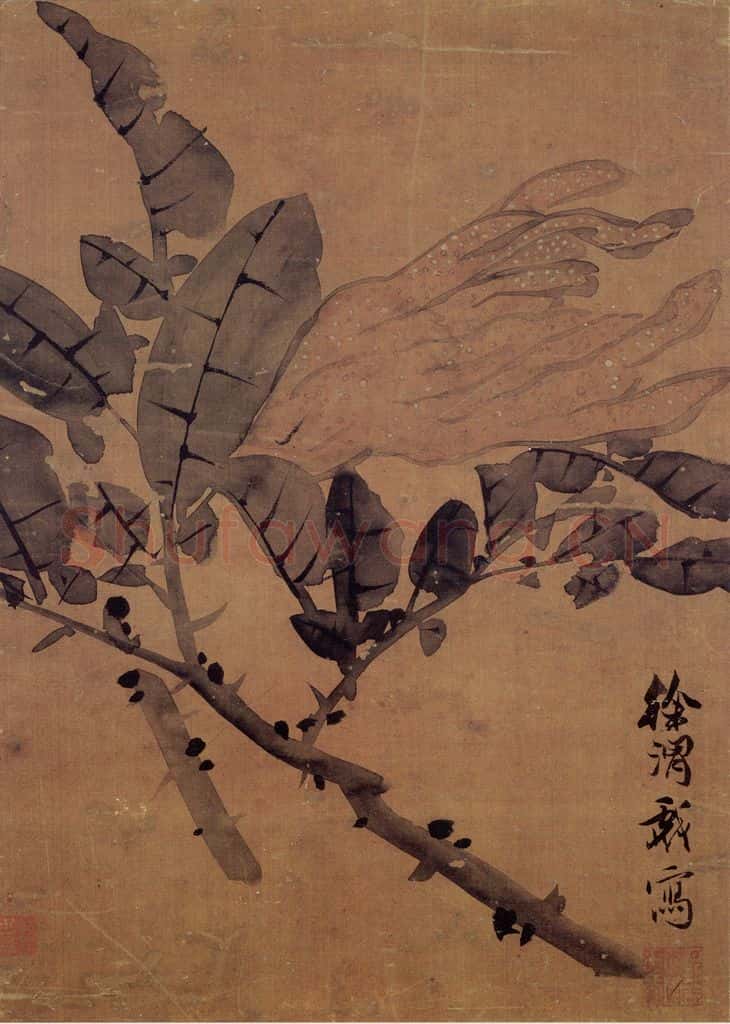 徐渭《佛手图》书画作品