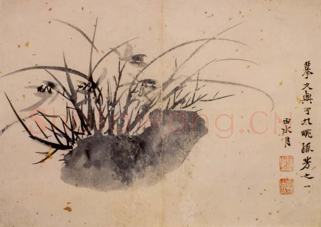 徐渭《花卉图册》书画作品