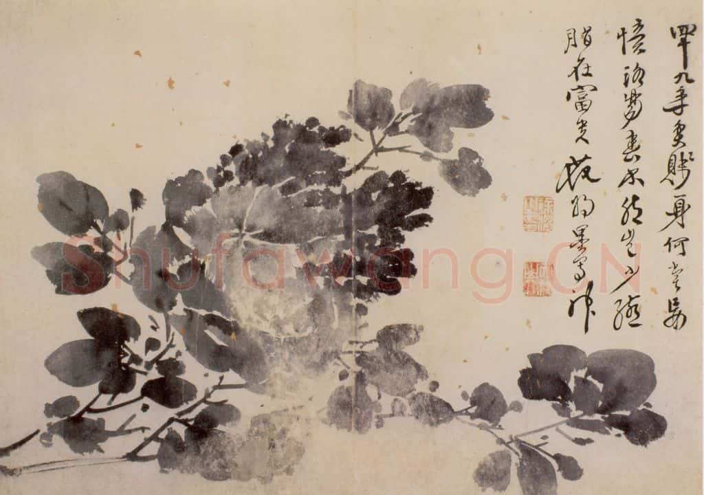 徐渭《花卉图册》书画作品