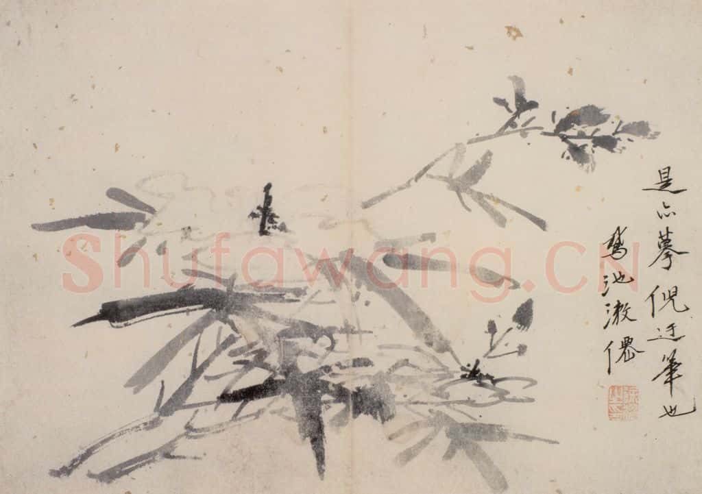 徐渭《花卉图册》书画作品
