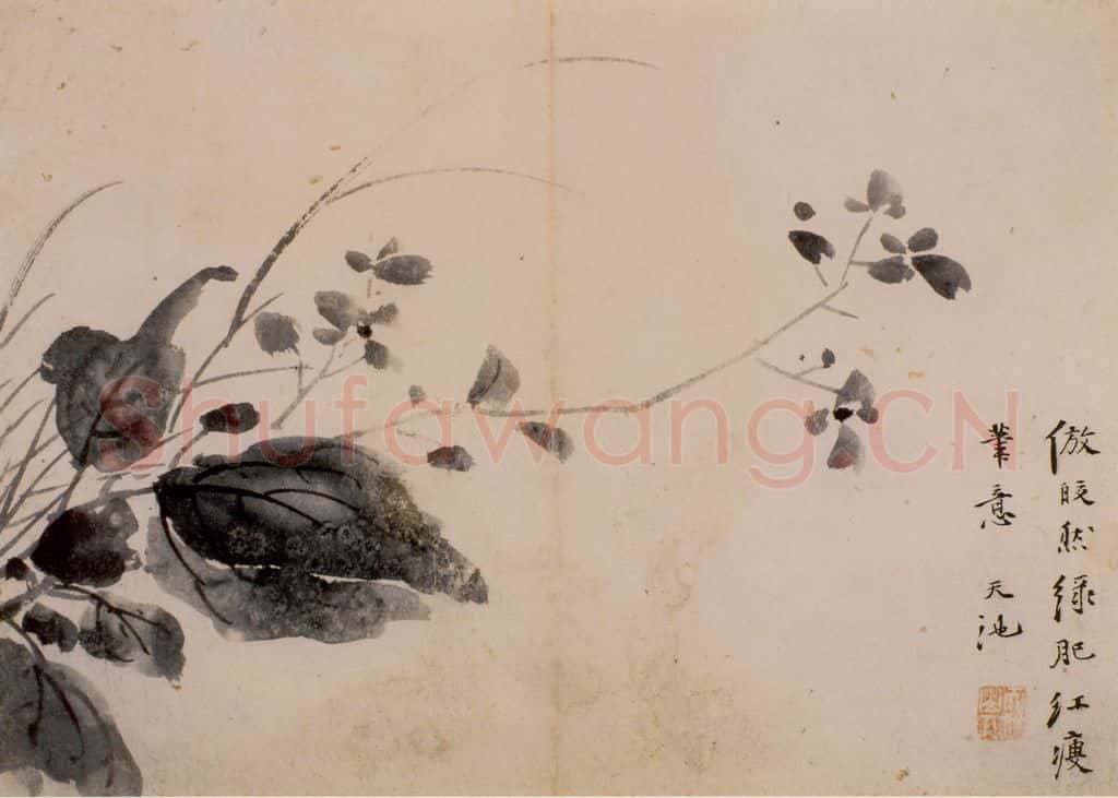  徐渭《花卉图册》书画作品