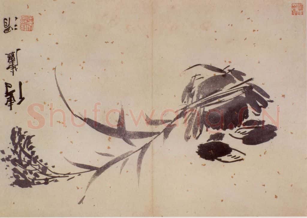  徐渭《花卉图册》书画作品
