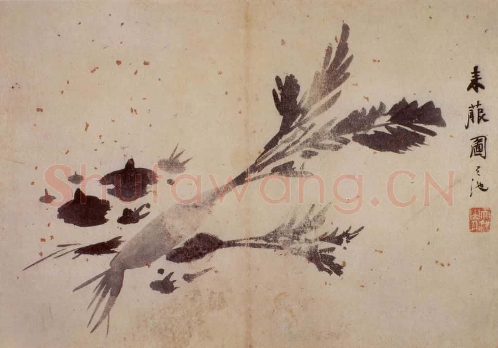 徐渭《花卉图册》书画作品