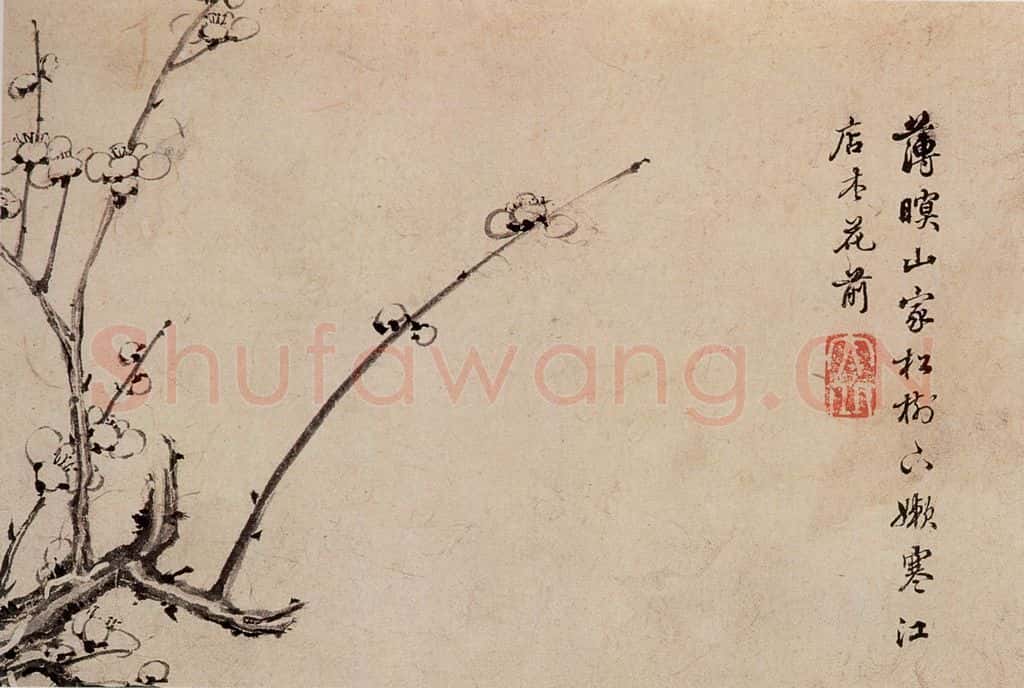 清 高简、张照《梅花图册》书画作品