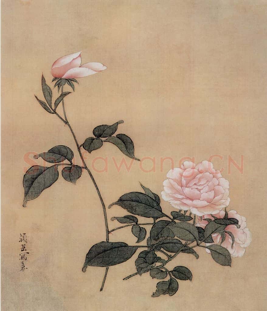 清 颜岳《花鸟图册》书画作品