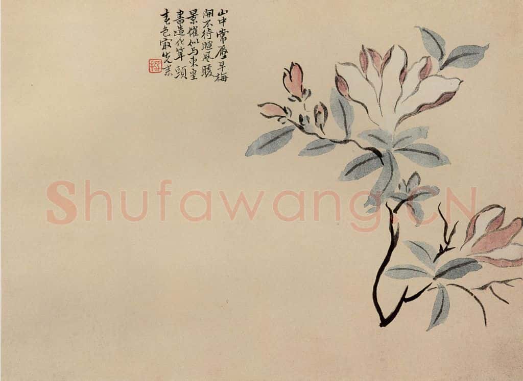 清 陈撰《折枝花卉图册》书画作品
