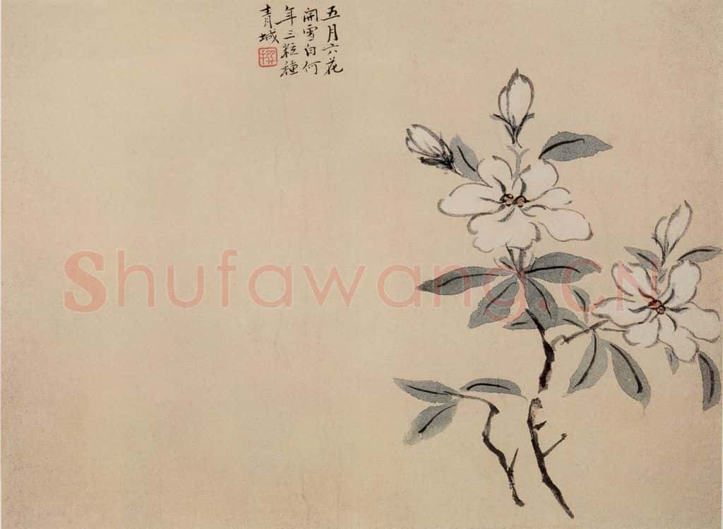 清 陈撰《折枝花卉图册》书画作品