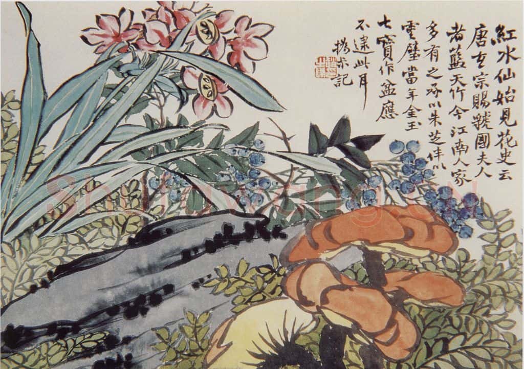 清 赵之谦《蔬果花卉图册》书画作品