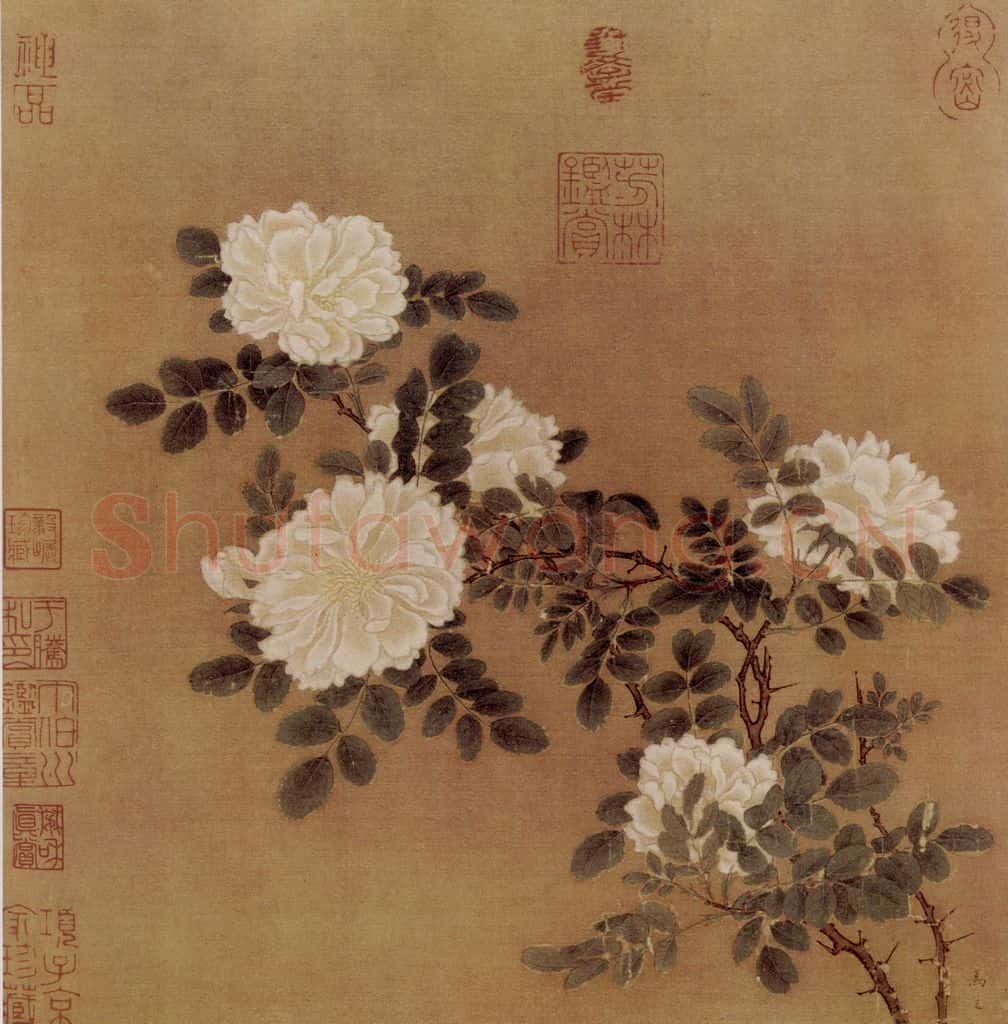南宋 马远《白蔷薇图》书画作品