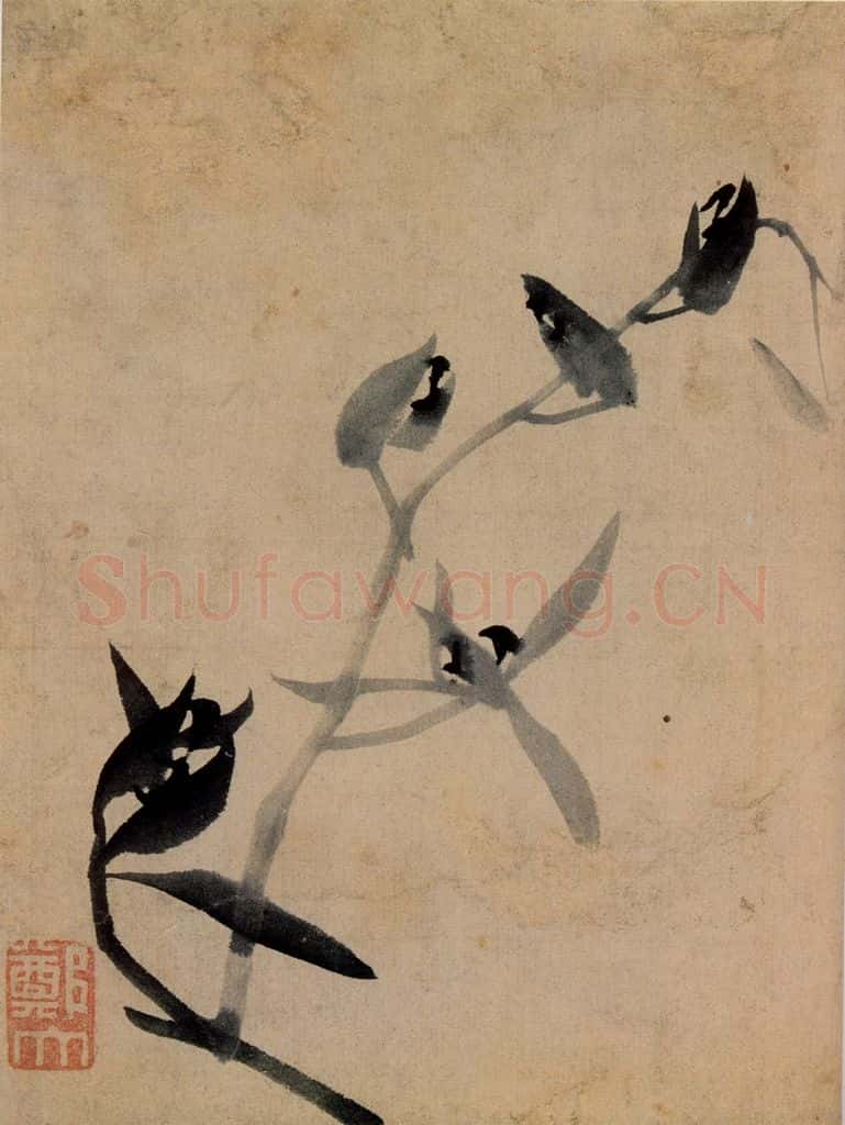 郑燮 兰花册 书画作品