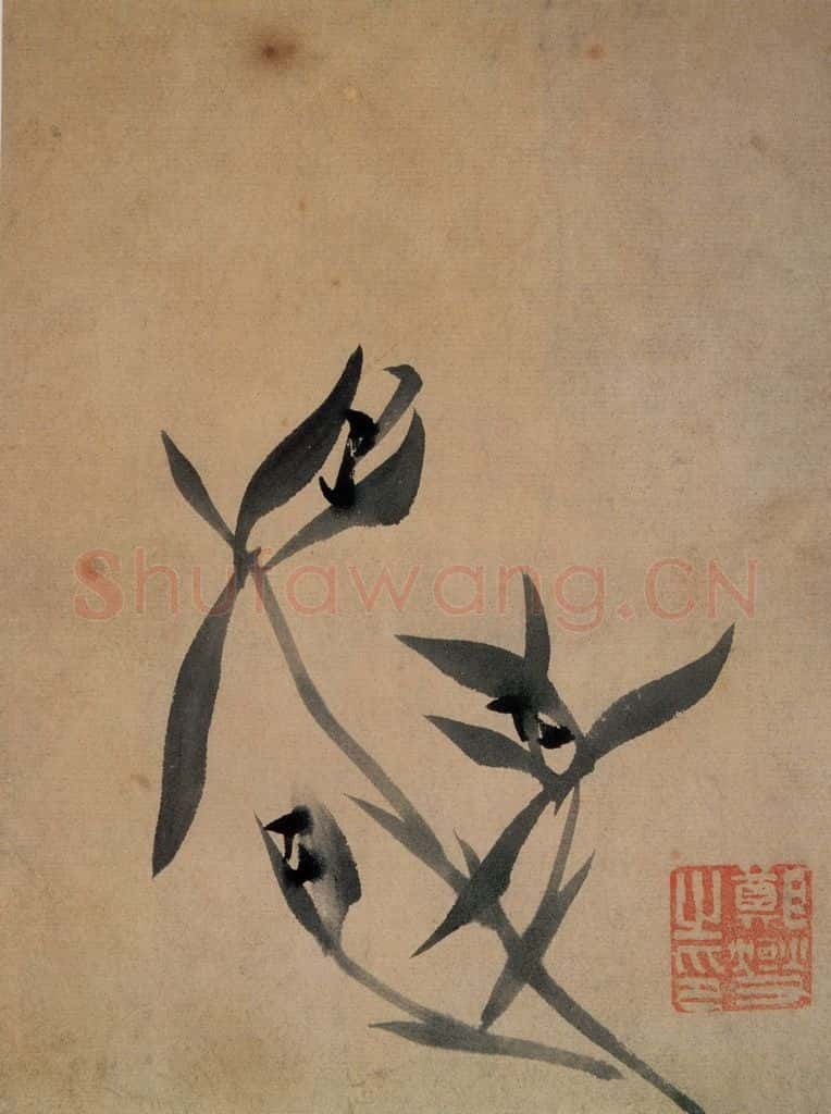 郑燮 兰花册 书画作品