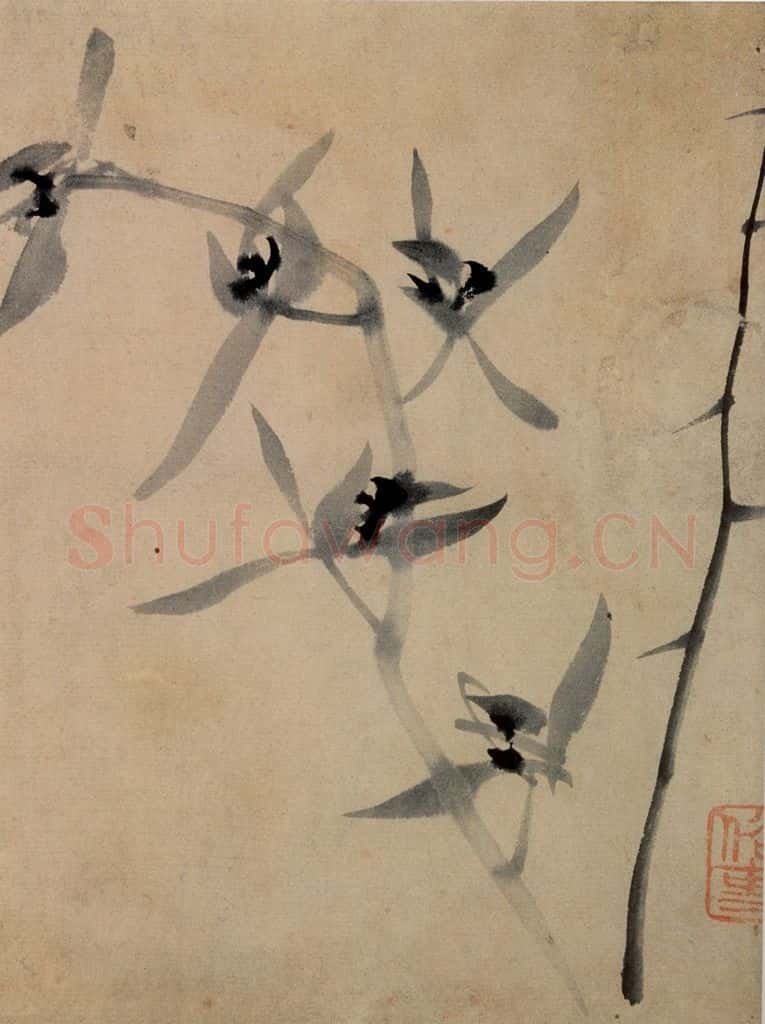 郑燮 兰花册 书画作品