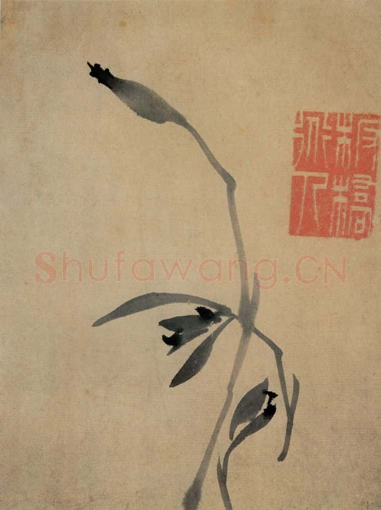 郑燮 兰花册 书画作品
