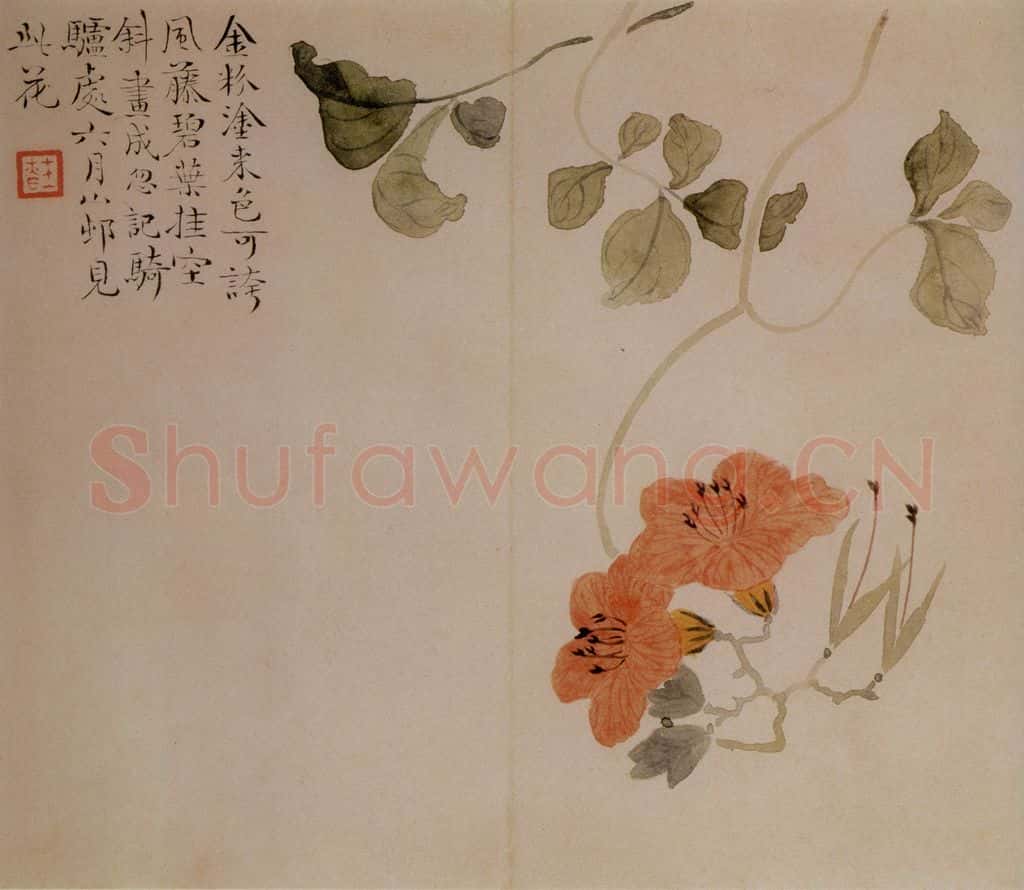 清 汪士慎《花卉册》书画作品