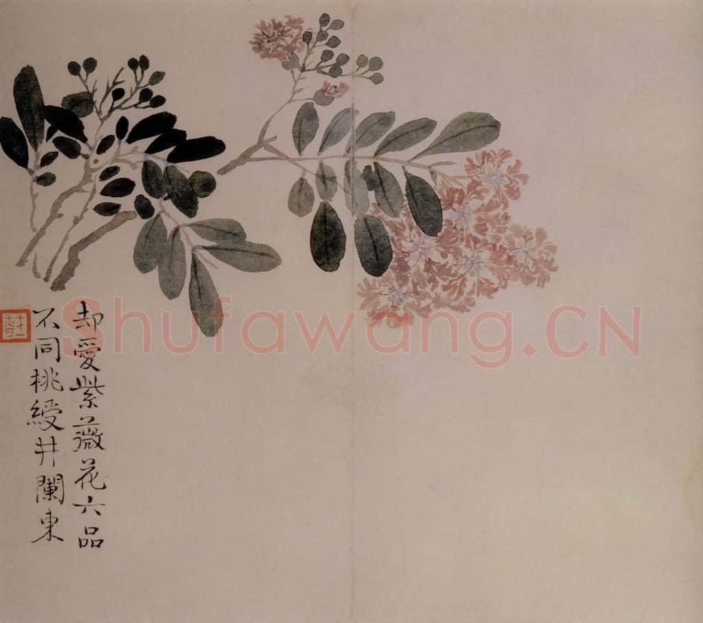 清 汪士慎《花卉册》书画作品