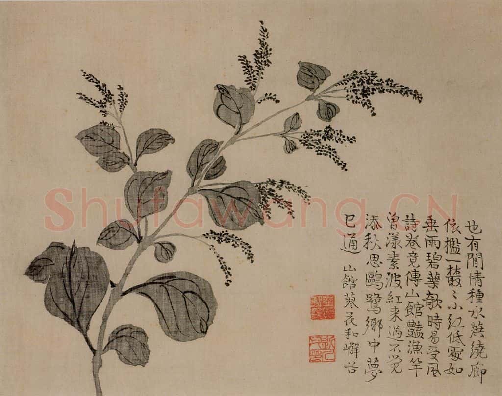 清 汪士慎《花卉册》书画作品