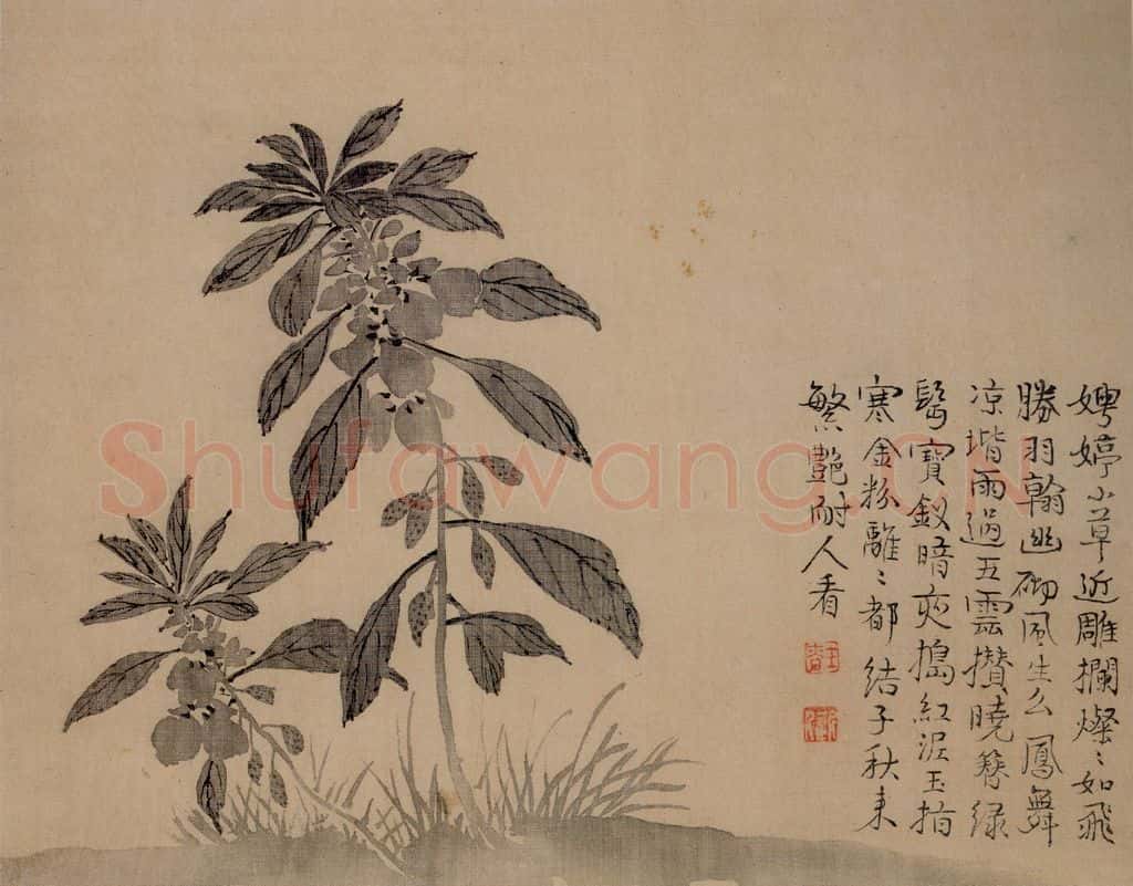 清 汪士慎《花卉册》书画作品