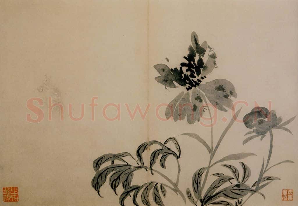 1742年 汪士慎《花卉册》书画作品
