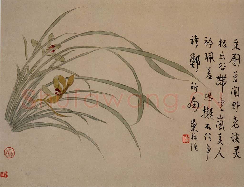 1749年 汪士慎《花卉册》书画作品