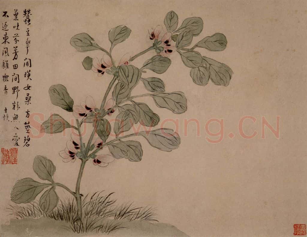 1749年 汪士慎《花卉册》书画作品
