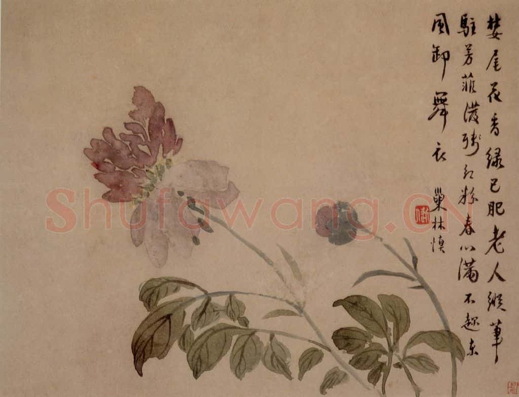 1749年 汪士慎《花卉册》书画作品