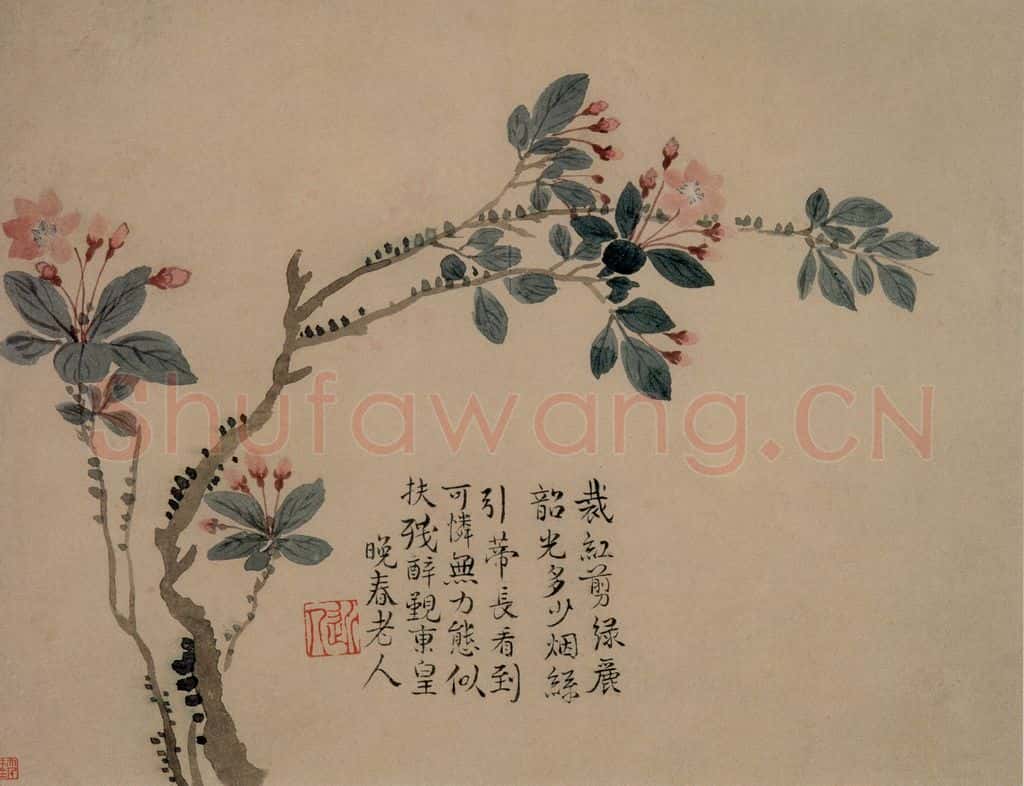 1749年 汪士慎《花卉册》书画作品