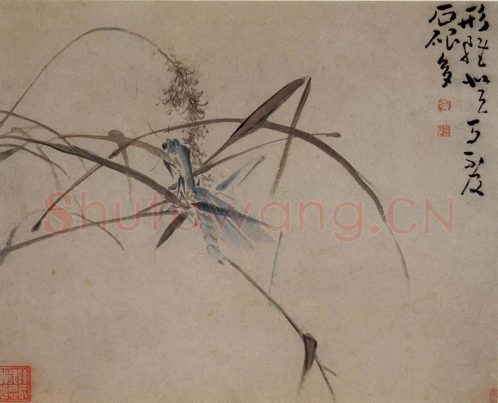 清 黄慎 花鸟草丛册 书画作品