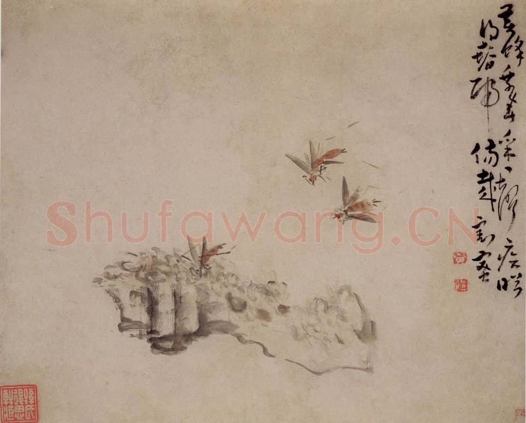 清 黄慎 花鸟草丛册 书画作品