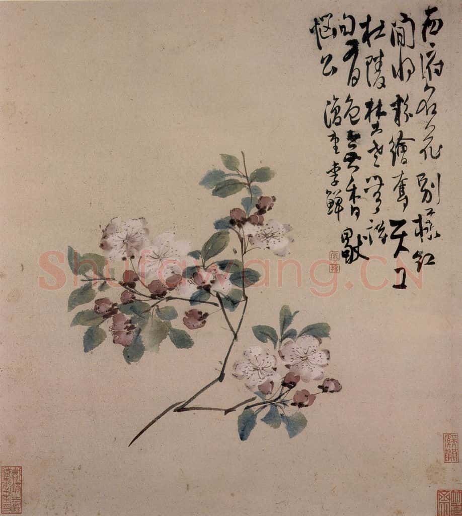 清 李鱓《花卉册》书画作品