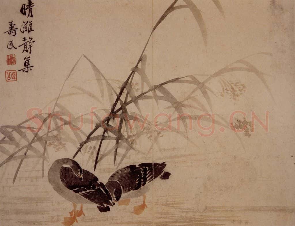 1749年 边寿民《芦雁册》书画作品